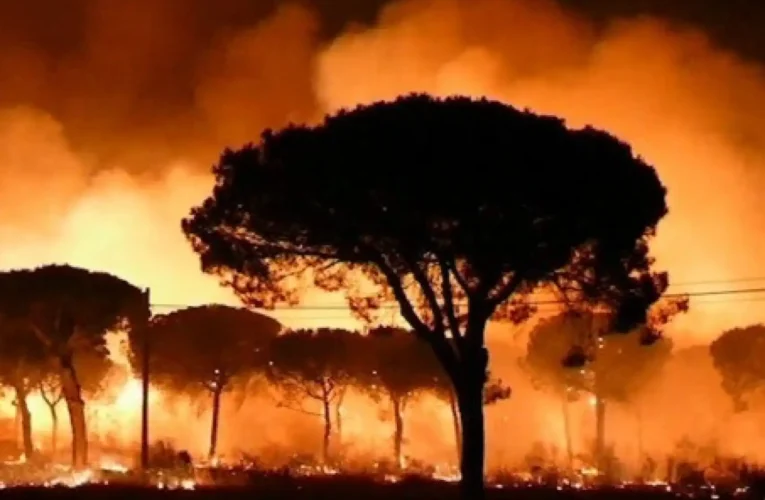 Promesas quemadas: la hipocresía del PSOE frente al fuego que devora España