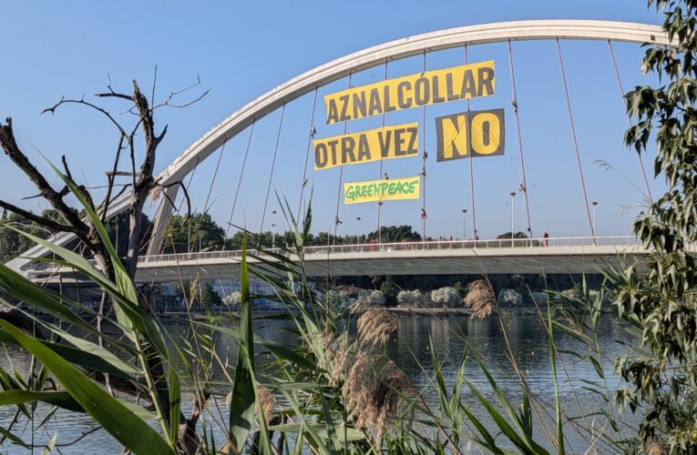 LOS GUARDIANES DEL GUADALQUIVIR: EL ACTIVISMO QUE SE ENFRENTA AL ECOCIDIO DE AZNALCÓLLAR